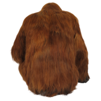 animals & orangutan free transparent png image.