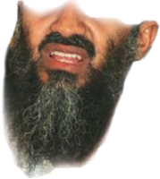 celebrities & osama bin laden free transparent png image.