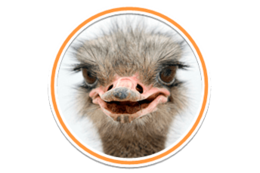 animals & Ostrich free transparent png image.