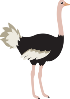 animals & Ostrich free transparent png image.