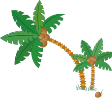 nature & Palm tree free transparent png image.