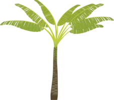 nature & palm tree free transparent png image.