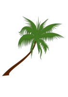 nature & Palm tree free transparent png image.