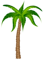 nature & Palm tree free transparent png image.