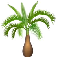 nature & palm tree free transparent png image.