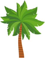 nature & Palm tree free transparent png image.