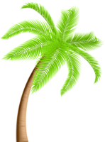 nature & Palm tree free transparent png image.