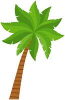 nature & palm tree free transparent png image.