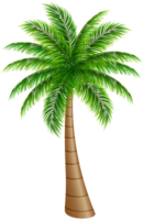 nature & palm tree free transparent png image.