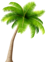 nature & Palm tree free transparent png image.