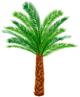 nature & Palm tree free transparent png image.