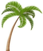 nature & Palm tree free transparent png image.