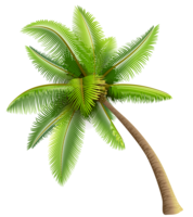 nature & palm tree free transparent png image.