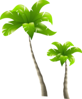 nature & palm tree free transparent png image.