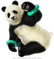 animals & Panda free transparent png image.