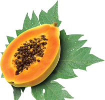 fruits & papaya free transparent png image.
