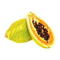 fruits & papaya free transparent png image.