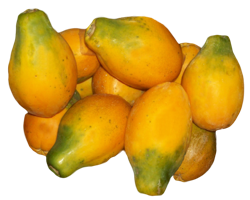 fruits & Papaya free transparent png image.