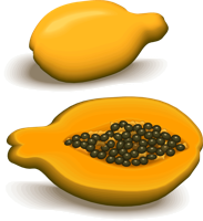 fruits & papaya free transparent png image.