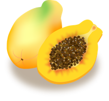 fruits & papaya free transparent png image.