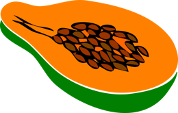 fruits & papaya free transparent png image.