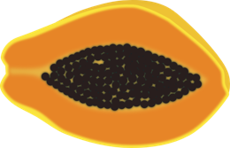 fruits & papaya free transparent png image.