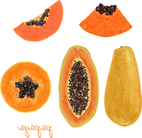 fruits & papaya free transparent png image.