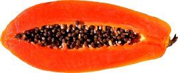 fruits & papaya free transparent png image.