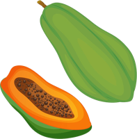 fruits & papaya free transparent png image.