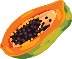 fruits & papaya free transparent png image.