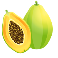 fruits & papaya free transparent png image.