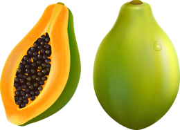 fruits & papaya free transparent png image.