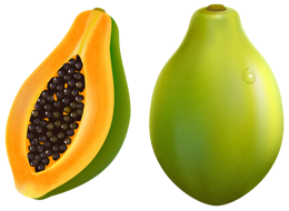 fruits & papaya free transparent png image.