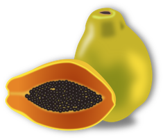 fruits & papaya free transparent png image.
