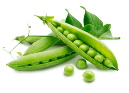 vegetables&Pea png image.