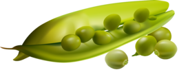 vegetables & pea free transparent png image.