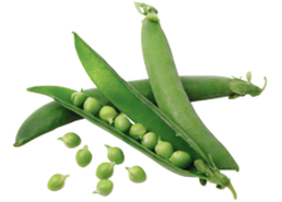 vegetables & Pea free transparent png image.