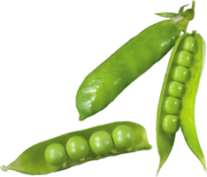 vegetables & pea free transparent png image.