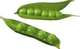 vegetables & pea free transparent png image.