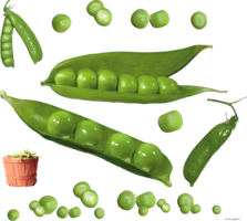 vegetables & pea free transparent png image.