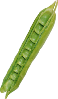 vegetables & pea free transparent png image.