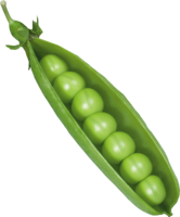 vegetables & Pea free transparent png image.