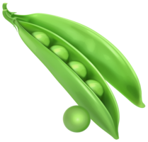 vegetables & Pea free transparent png image.