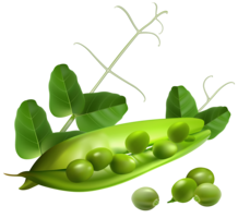 vegetables & Pea free transparent png image.