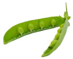 vegetables & Pea free transparent png image.