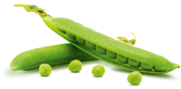 vegetables & pea free transparent png image.