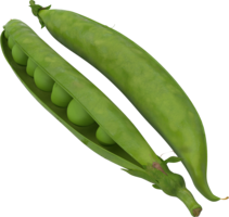 vegetables & Pea free transparent png image.