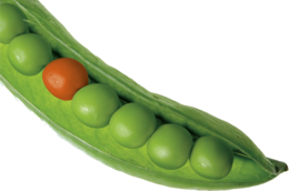 vegetables & pea free transparent png image.