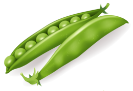 vegetables & Pea free transparent png image.