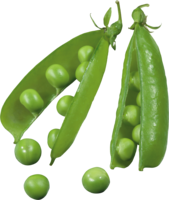 vegetables & Pea free transparent png image.